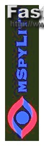 Mspy for Android Free Download
